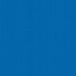 SR Smith Fibre-Dive Replacement Diving Board, 10 Ft, Blue