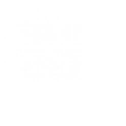 SR Smith Olympian Aluminum Diving Board, 16 Ft, White